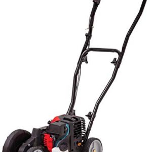 Craftsman 29cc 4-Cycle Gas Powered Grass Lawn Edger
