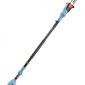 SENIX CSPX5-M-0 10 Inch 58V Cordless Pole Saw to Reach Branches up to 14 Feet Above, Blue