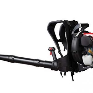 Craftsman 32cc, 4-Cycle Full-Crank Engine Backpack