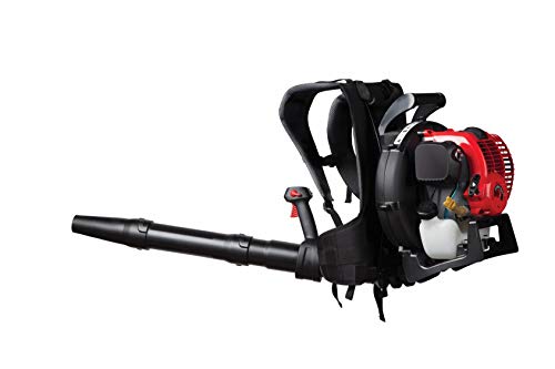 Craftsman 32cc, 4-Cycle Full-Crank Engine Backpack