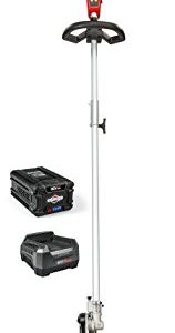 lectric Cordless Pole Saw Kit with 2.0 Battery & Rapid Charger