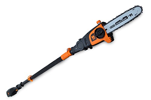 WEN 40V Max Lithium Ion 10-Inch Cordless and Brushless Pole Saw