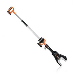 PowerShare Cordless Electric Chainsaw with Extension Pole