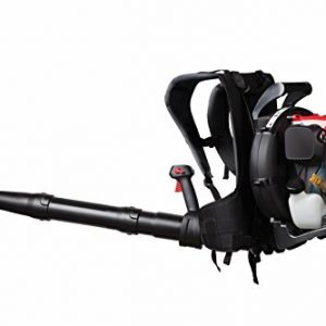Troy-Bilt EC 32cc 4-Cycle Backpack Blower with JumpStart Technology