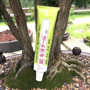 Kiyonal New Bonsai Pruning Cutting Paste 100g