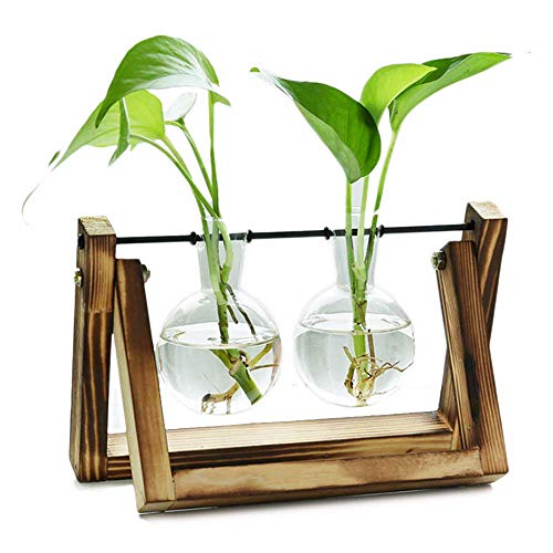 EssenceLiving 2 Bulb Glass Planter Vase with Wooden Holder, Plant Stand