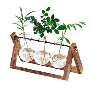 Plant Terrarium Wooden Stand, Desktop Glass Planter Bulb Vase