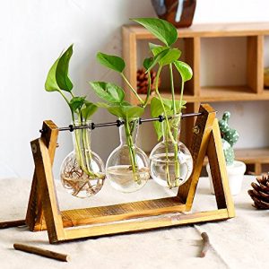 Plant Terrarium with Wooden Stand, Air Planter Bulb Glass Vase Metal