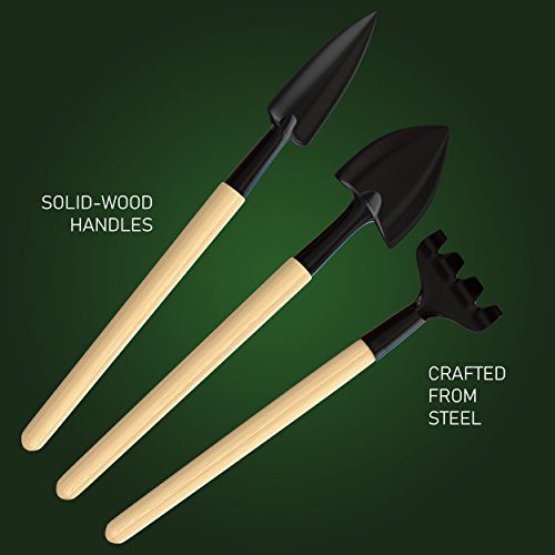 Planters' Choice Bonsai Tool Kit - Includes: Wooden Rake