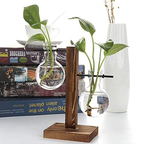 Alapaste Clear Glass Planter Bulb Vase with Retro Wooden Stand