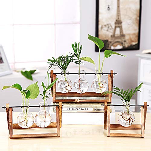 KYMAKE Clear Glass Planter Bulb Vase with Vintage Wooden Stand