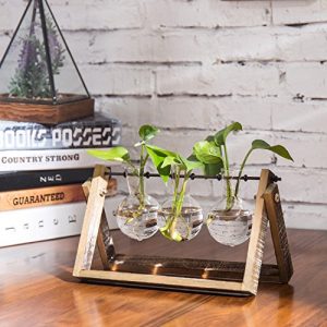 MyGift 3-Glass Planter Bulb Vases with Wood & Metal Swivel Stand