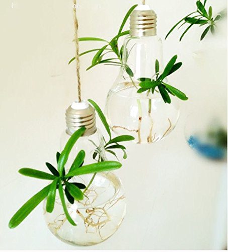 EssenceLiving 3 Light Bulb Shape Plant Terrariums Hanging Glass Vase