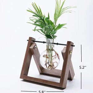 Cyan Shirt Glass Planter Bulb Vase with Walnut Wooden Stand Metal