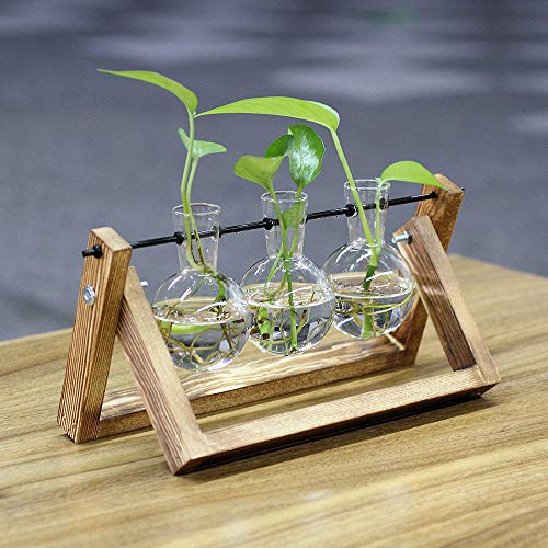 Dulcii Desktop Glass Planter Bulb Vase with Retro Solid Wooden Stand