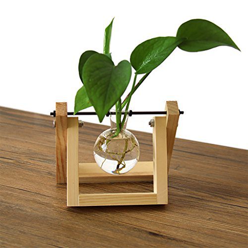Ivolador Desktop Glass Planter Bulb Vase with Retro Solid Wooden Stand
