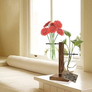 Glass Planter Bulb Vase, Desktop Plant Terrarium with Retro Solid Wooden Stand