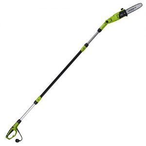 Earthwise 6.5-Amp 8-Inch Corded Electric Pole Saw, Green