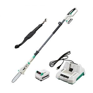 LiTHELi 40V 10 inches Cordless Pole Saw
