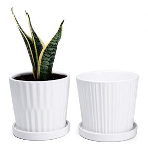 Greenaholics Medium Plant Pots - 6 Inch White Cylinder Ceramic Planters