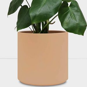 PEACH & PEBBLE Indoor Plant Pot - Blush Terracotta Planter