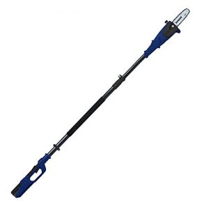 Sun Joe 8 inch 40-Volt Cordless Multi-Angle Pole Chain Saw