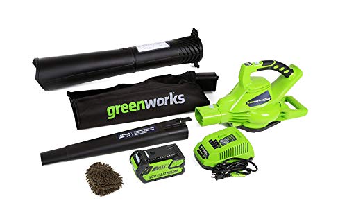 Greenworks Cordless Leaf Blower Vacuum, Digipro