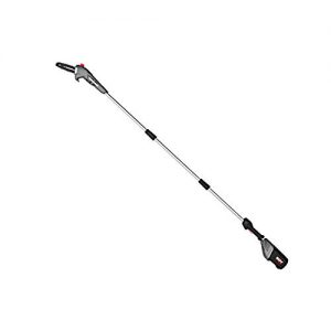 POWERWORKS 8-Inch 60V Brushed Pole Saw, Tool