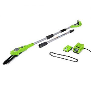 GreenWorks 8-Inch 24V Cordless Pole Saw with Extra Chain