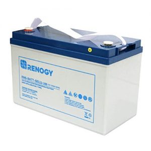 Renogy 12V 100Ah Rechargeable Deep Cycle Pure Gel Battery