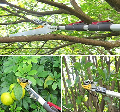 Mesoga Foot Extendable Tree Pruner, Cut and Hold Pruning Trimmer
