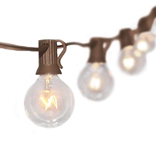 25Ft Globe String Lights with G40 Bulbs (Plus 3 Extra Bulbs) UL Listed Backyard Patio Lights Garden Party Natural Warm Bulbs Cafe Lights on Light String Indoor Outdoor-Brown Wire