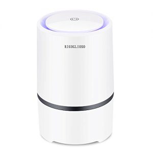 RIGOGLIOSO Air Purifier for Home with True HEPA Filters,Low Noise Portable Air Purifier with Night Light,Desktop USB Air Cleaner