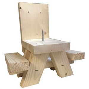 Squirrel Feeder Picnic Table - Hand Made in USA - Uses Corn Cob or Apple for Fun Squirrel Dining