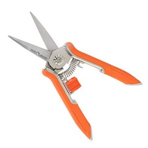 FLORA GUARD 6.5 Inch Micro-Tip Pruning Snip Gardening Hand Pruning Shears Trimming Scissors with Stainless Steel(Orange)
