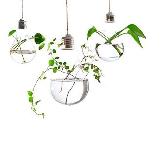Ivolador 3PCS Lightbulb Glass Hanging Planter Vase Terrarium Container for Hydroponic Plants Home Garden Decor - Double Hole
