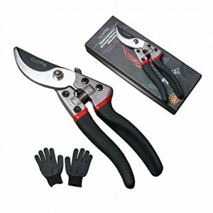Professional Bypass Pruning Shears | Heavy Duty Garden Scissors with Non-Slip Handles | Garden Pruners, Clippers and Tree Trimmers with SK5 Sharp Blade | DURABLE Gardening Gloves | Ergonomic Design