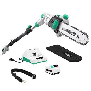 LitheLi 40V Cordless Pole Saw 10 inches with 2.5AH Battery and Charger