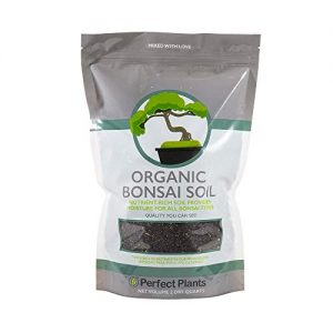 Bonsai Soil by Perfect Plants - 2qts. | Premium All-Purpose Mix | Perfect for All Bonsai Tree Varieties