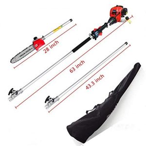 Pole Saw,Powerful Gas Pole Chainsaw 42.7CC 2-Cycle 8.2 FT to 11.4 FT Cordless Extension Pole Saw Tree Trimmer Long Reach Saw with Carry Bag