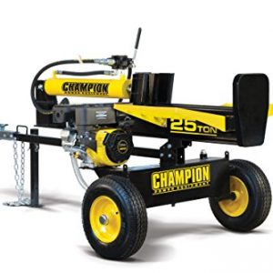 Champion 25-Ton Horizontal/Vertical Full Beam Gas Log Splitter with Auto Return