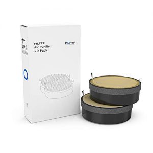 hOmeLabs True HEPA H13 Air Purifier Replacement Filter - Fits HME020248N - Lasts for 90 Days or 3 Months Equivalent to 2,100 Hours - 2 Packs