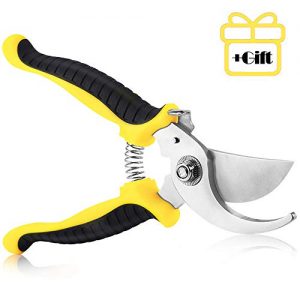 SITREMEN Garden Pruning Shears, 7.5" Hand Gardening Cutter, Professional Bypass Secateurs with Straight Stainless Steel Blade, Ultra Sharp Clippers Scissors for Trimming, Fruits, Flowers, Plants