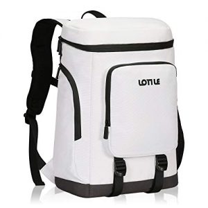 LOTILE Picnic Cooler Backpack Insulated Leakproof,Soft Cooler Bag,Recyclable for Lunch Camping Hiking 20L White