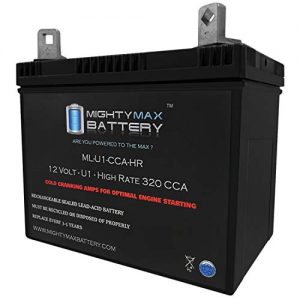 Mighty Max Battery 12V 320CCA Battery for Craftsman 25780 Lawn Tractor Mower