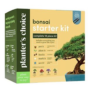 Bonsai Starter Kit - The Complete Growing Kit to Easily Grow 4 Bonsai Trees from Seed + Comprehensive Guide & Bamboo Plant Markers - Unusual Gardening Gifts Ideas for Women - Indoor Bonzai Tree Seeds