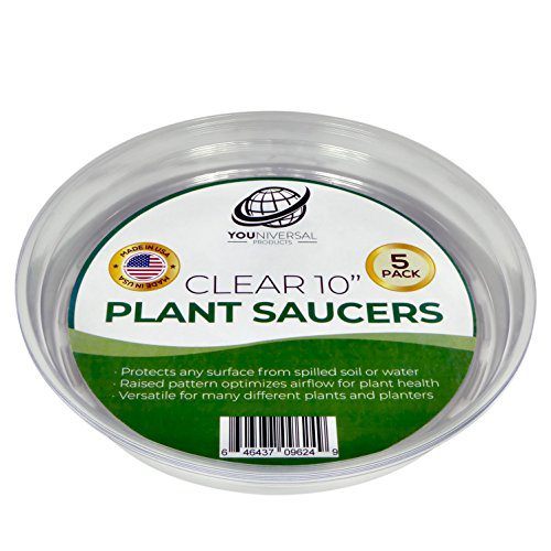 YOUniversal Products 5 Pack of 10 Inch Clear Plastic Plant Saucers for Indoor and Outdoor Plants