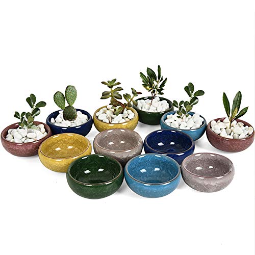 Gonioa 12 Pcs Small Ceramic Ice Crack Cactus Plant Pot with Drainage Hole,Succulent Plant Pot Container Planter Full Colors Gift for Mom Sister Aunt Best for Home Restaurant Table Desk Decoration