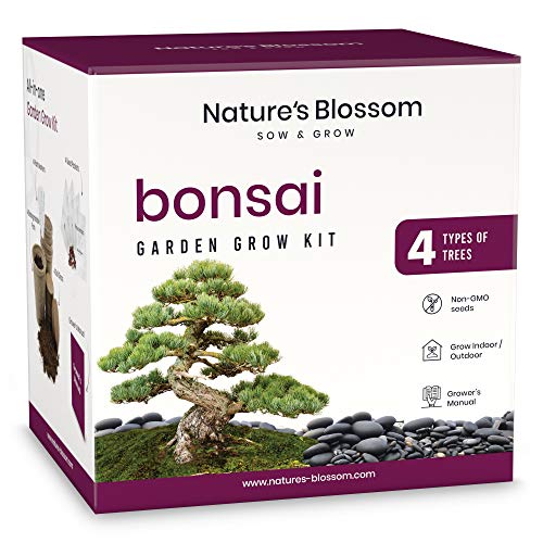 Nature's Blossom Bonsai Tree Seed Starter Kit for Beginner Gardeners. A Complete Indoor Growing Set. Special Garden Gift Idea for Men and Women