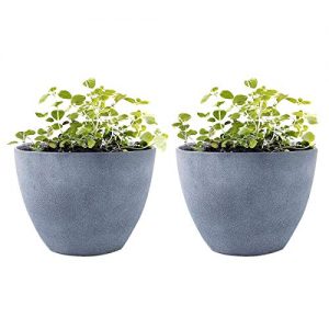 LA JOLIE MUSE Flower Pot Garden Planters Outdoor Indoor, Plant Containers with Drain Hole, Weathered Grey(11.3 Inch, Pack 2)